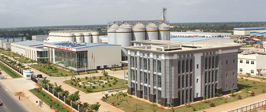 Brewery Industry Boiler