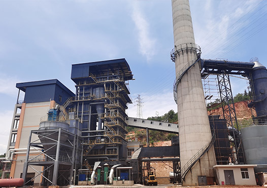 Power Plant Boiler