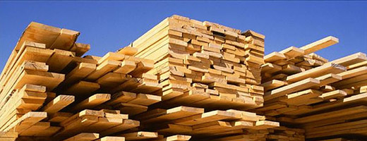 Wood Processing Industry Boiler