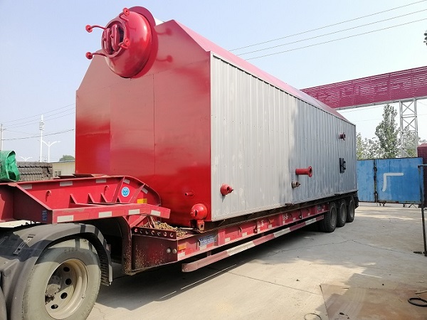 Biomass boiler combustion system