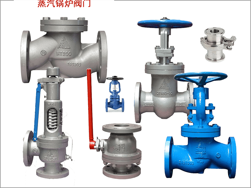 Steam boiler valve