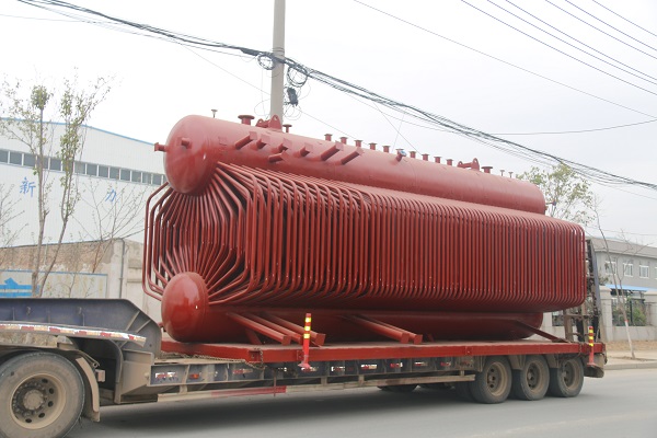 Biomass steam boiler