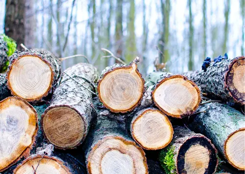 Wood Processing Industry Boiler